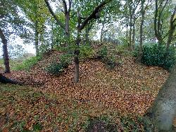 Brampton Motte